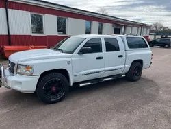 Vit Begagnad 2011 Dodge Dakota Van | 179 000 kr