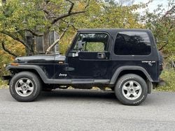 Begagnad 1995 Jeep Wrangler SUV | 95 000 kr