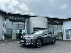 Grå Begagnad 2019 Lexus UX 250h SUV | 289 000 kr (Lite dyr)