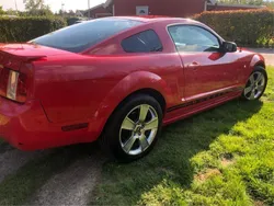 Röd Begagnad 2007 Ford Mustang Trend Sportkupé | 95 000 kr