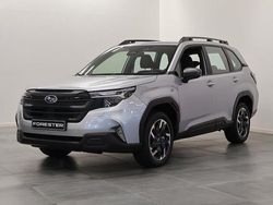 Grå (ice silver metallic) Ny 2024 Subaru Forester SUV | 403 700 kr (Marknadspris)