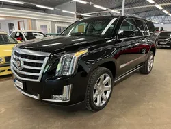 Svart Begagnad 2015 Cadillac Escalade SUV | 499 900 kr (Dyr)