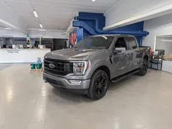 Grå Begagnad 2023 Ford F-150 Pickup | 936 900 kr (Dyr)