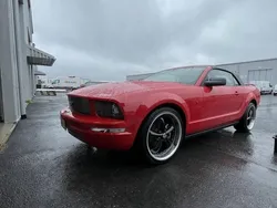 Röd Begagnad 2005 Ford Mustang Cab | 120 000 kr (Marknadspris)