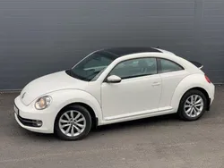 VW Beetle