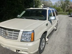 Vit Begagnad 2004 Cadillac Escalade SUV | 85 000 kr