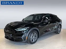 Begagnad 2023 Ford Mustang Mach-E Standard Range SUV | 629 900 kr