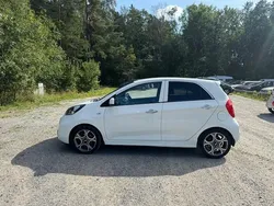 Vit Begagnad 2017 Kia Picanto Halvkombi | 99 000 kr (Lite dyr)