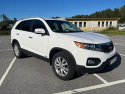 Vit Begagnad 2011 Kia Sorento SUV | 104 900 kr (Bra pris)