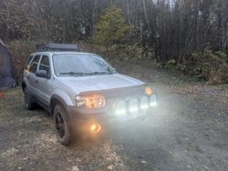 Silver Begagnad 2005 Ford Maverick SUV | 40 000 kr