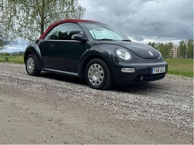 VW Beetle