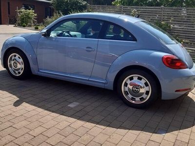 VW Beetle