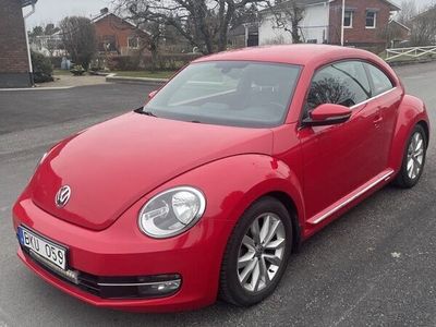 VW Beetle