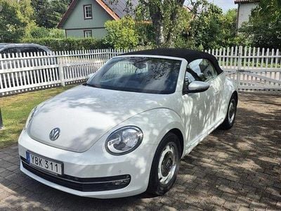 VW Beetle