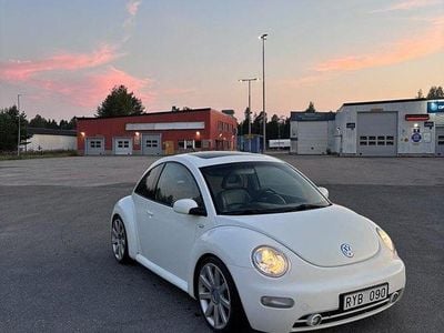VW Beetle