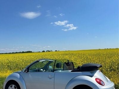 VW Beetle