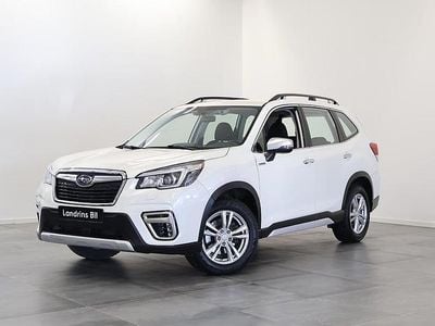 Begagnad Subaru Forester 150 HK (110 kW) 2019 Vit SUV