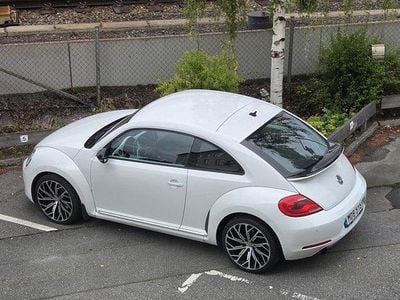 VW Beetle