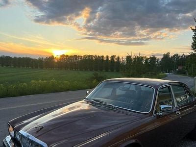 Begagnad 1982 Jaguar XJ Sedan | 75 000 kr