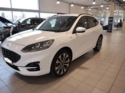 begagnad Ford Kuga ST-Line X Business Edition Full Hybrid AWD 190hk