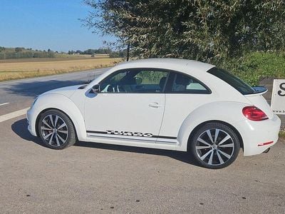 VW Beetle
