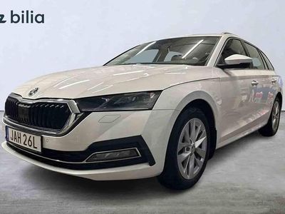 Vit Begagnad 2023 Skoda Octavia Kombi | 299 500 kr (Lite dyr)