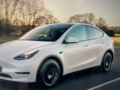 begagnad Tesla Model Y 2023 Vit