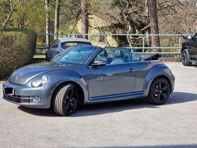 VW Beetle