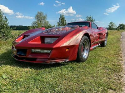 begagnad Chevrolet Corvette Stingray CorvetteGreenwood Can Am Custom V8 1969 Extrem Unik