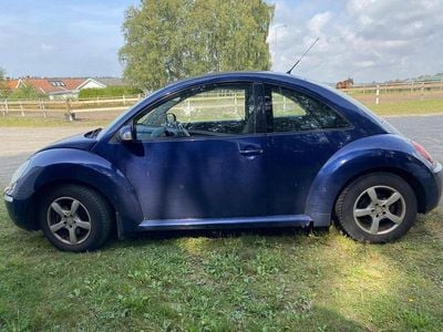 VW Beetle