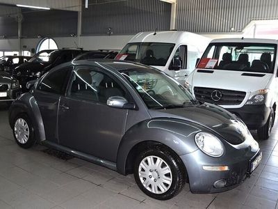 VW Beetle