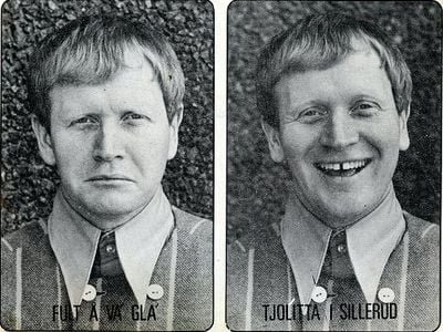 Begagnad Renault Zoe Life 64 kW (88 HK) 2017 Halvkombi