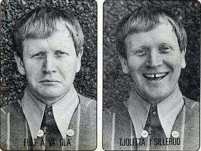 Begagnad 2017 Renault Zoe Life Halvkombi | 323 000 kr