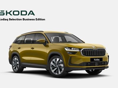 begagnad Skoda Kodiaq Business Ed 1,5 TSI m-HEV 150 Hk Fr 379900kr