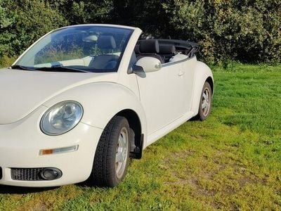 VW Beetle