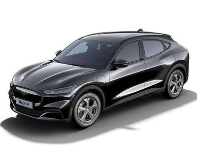 Begagnad Ford Mustang Mach-E Standard Range 197 kW (269 HK) 2024 SUV