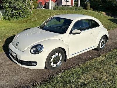 VW Beetle