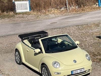 VW Beetle