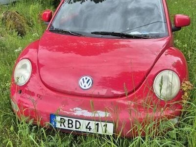 VW Beetle