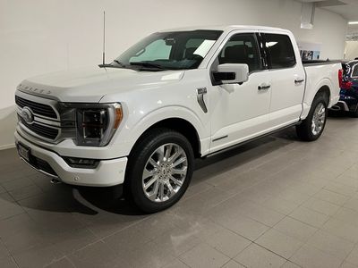 begagnad Ford F-150 F-150 SuperCrewLimited / Bang & Olufsen / Drag / 22" Fälgar