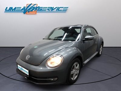 VW Beetle