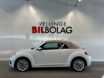 VW Beetle