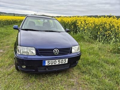 VW Polo