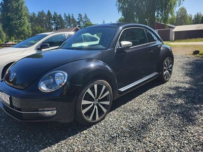 VW Beetle
