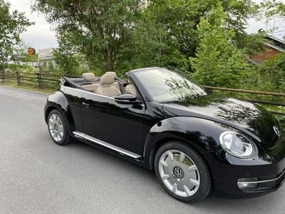 VW Beetle