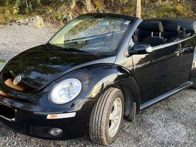 VW Beetle