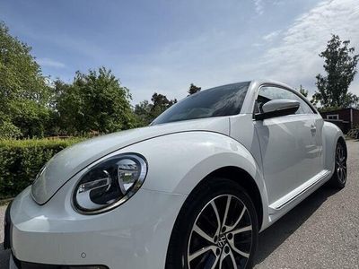VW Beetle