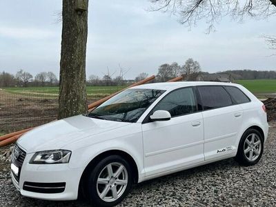 begagnad Audi A3 Sportback 1.6 TDI Attraction, Comfort Euro 5