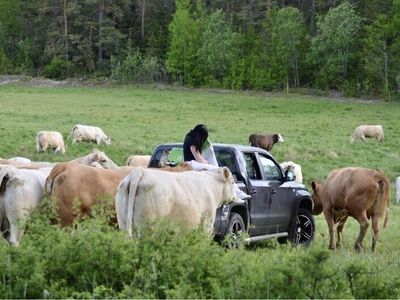 begagnad VW Amarok Dubbelhytt 2.8t 2.0 BiTDI 4Motion Euro 5