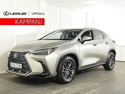 Begagnad Lexus NX450h+ Executive Line 309 HK (227 kW) 2023 Ljusgrå SUV